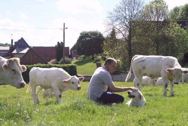 Ferme de Travailles vente directe producteur