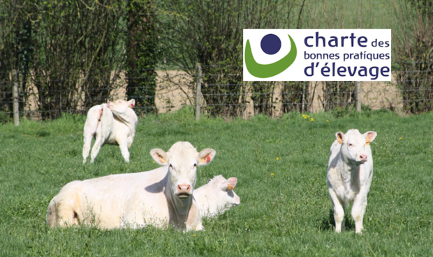 ferme de travailles charte des bonnes pratiques de l'élevage